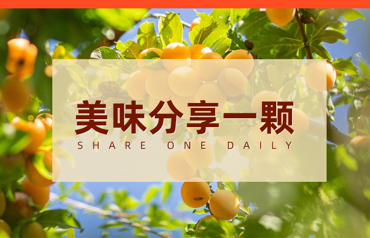 詳情_(kāi)12.jpg
